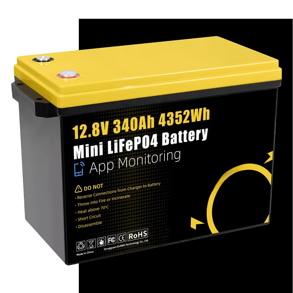 GoKWh Marine 12v Lifepo4 batte - Lithium Battery 100Ah avis et prix