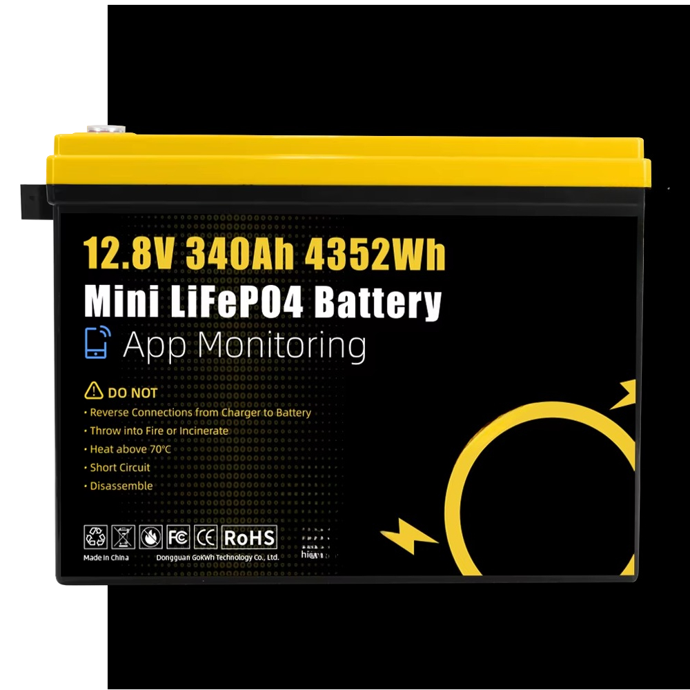 GoKWh Marine 12v Lifepo4 batte - Lithium Battery 100Ah avis et prix