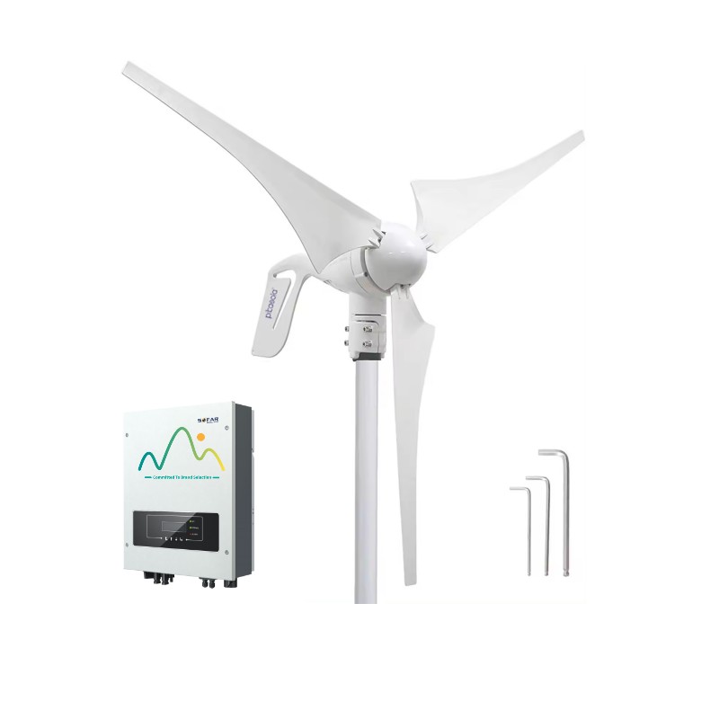 Système éolien solaire 1 kW 12 - Renewable Energy Wind Solar avis et prix